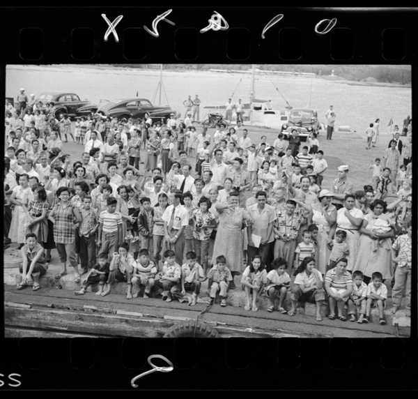 Iwanamishashinbunko 196 nikkeiamerikajin ─hawaino─ hyoushi urabyoushi kafuruinominatode