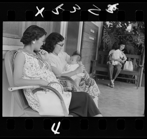 Nikkeijinnokojinbyouinde