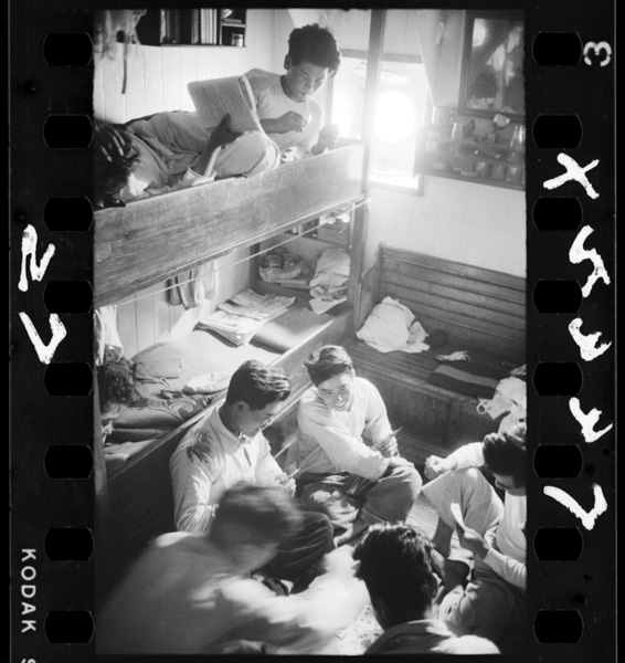 1shitsu8nin.tomokakukokoga4kagetsukannonejirodearu