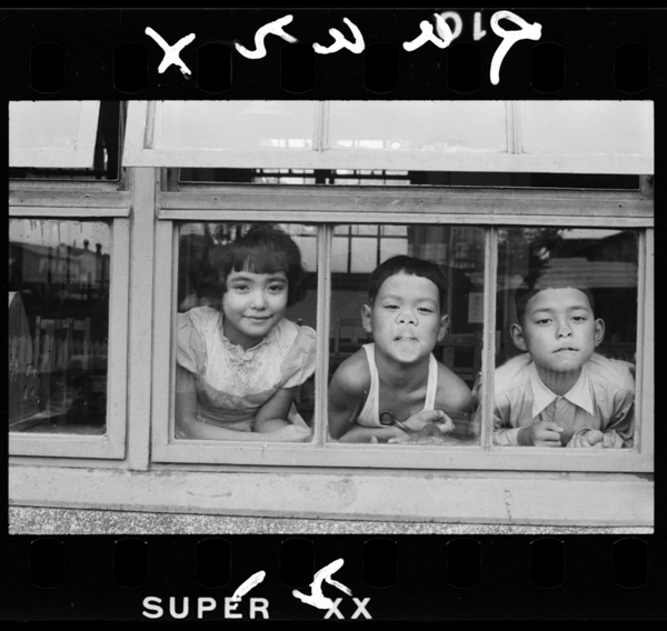 Garasunoshugenryouhasōdahaitokeisha,sekkaisekidearu