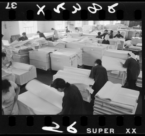 紙の原料は木材を苛性ソーダで処理したパルプである