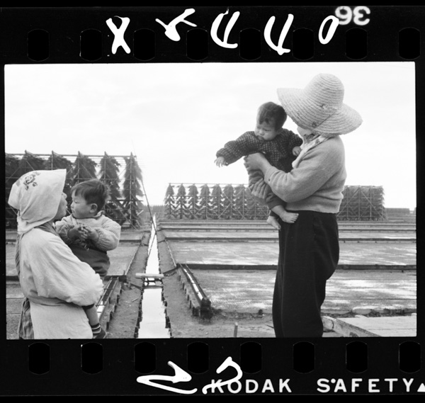 流下式塩田への転換が本格的に始められたのは昭和27年,この子たちが生れた頃であった