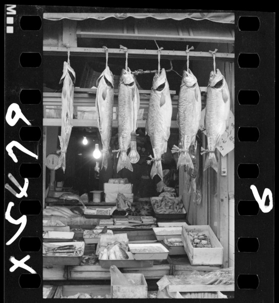 Shiozakeganagamochisurunohashioniyorudassuisayougaomonagenindearu