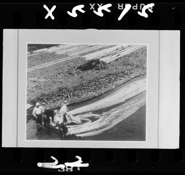 Kamogawakawaranoyuuzenzome