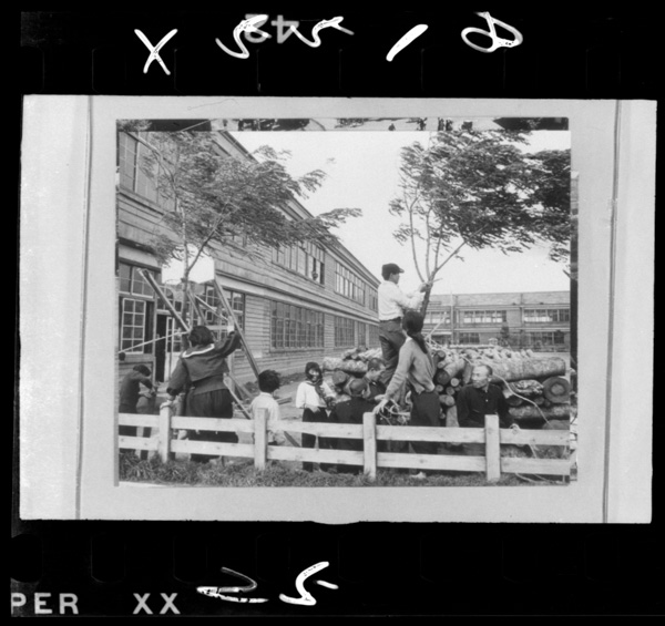 Kyoufuuchuuihougadetanodekouteinoshokujuwohokyou.aomorishi