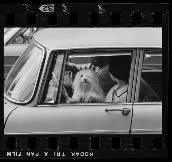 Jikayoushadepettototomoni(aoyama shouwa43nen)