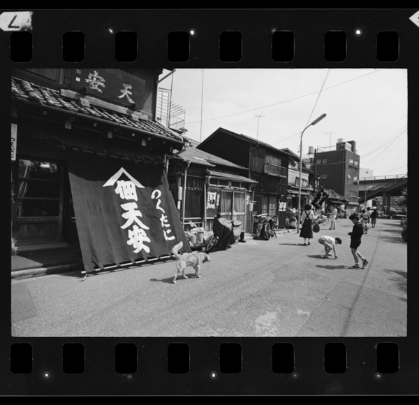 Kokotsukudanihasshounochide、tenanhasougyou170yonentomottomofurui(chuuoukutsukudajima shouwa52nen)