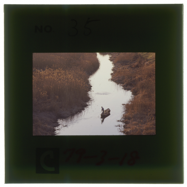 Takasebuneyajoukisenwoukabetatoneunganomizumoimahakareashinoaidawonuuhosoinagaredeshikanai