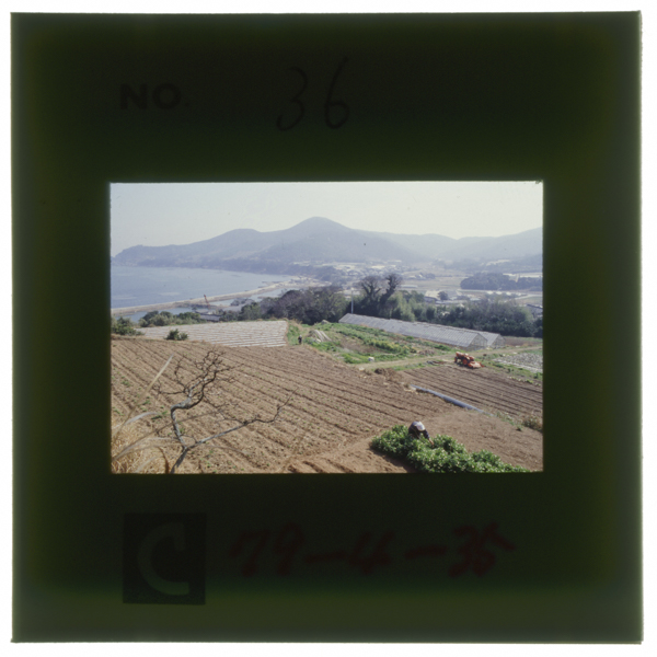 大蔵永常が指導しサトウキビ栽培と製糖を行ったという仁崎(現田原町)左は三河湾