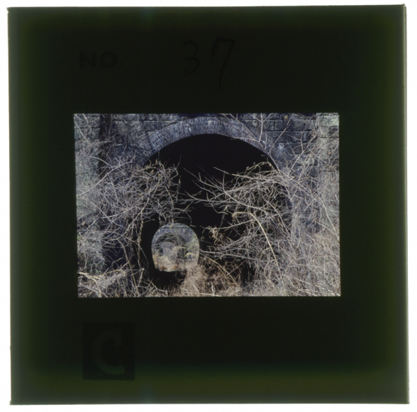 Usuikofukinnokyuudai3gouzuidounankoujinosuekanseishitaaputosennoshisetsumokusaniumoreteiku