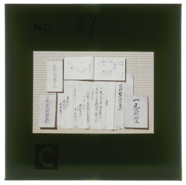 Nakaikkouryuuhidenshoyaenkajutsumenjounado