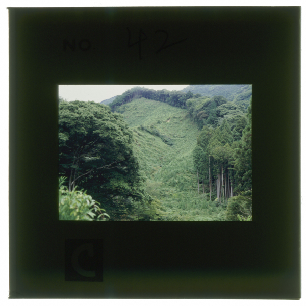 Taikarenganogenryounendoshiratsuchiwosaikutsushitaatotoomowarerushamenkamaatohamigitenohayashinonaka