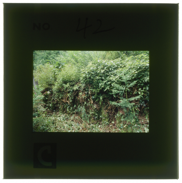 Migihashīkamanosaijoubukokudo(endou)nokakuhekitoomowarerububunsonohokahadoshaniumoreteiru