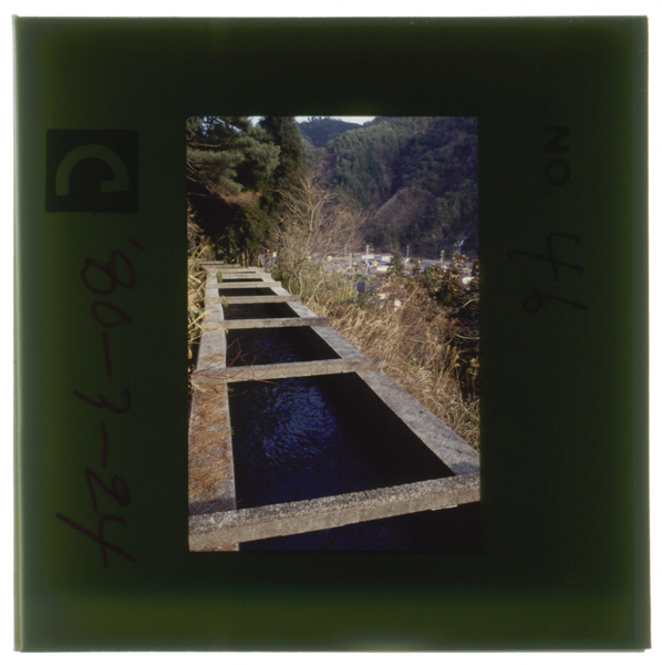 Hidarimeijishonensuishayounihikaretasuirohakaishuusaretagahobomukashinomamanokeirodenagareteiru