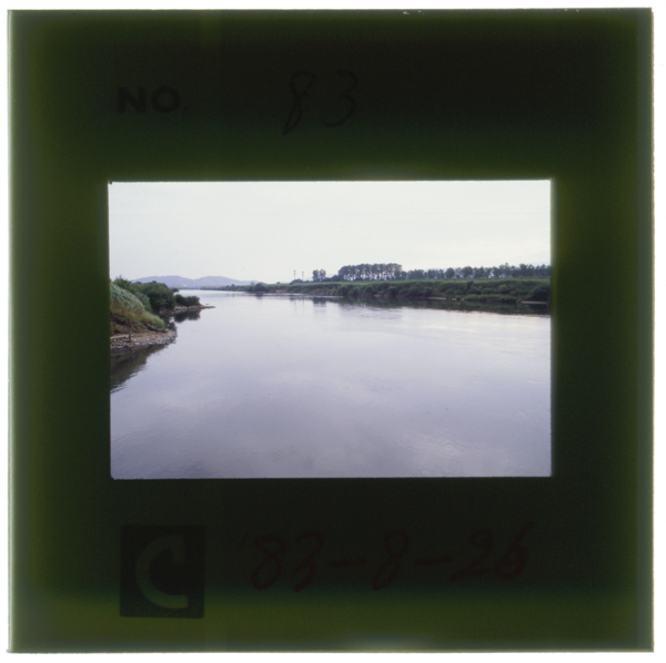 京都府久御山町の宇治川(淀川中流) 対岸は京都市の淀地区で宇治川と桂川を分離するために築かれた“淀堤”が続いている