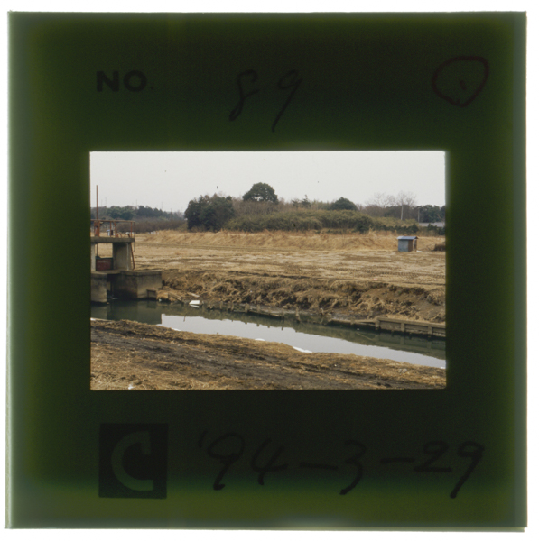 Migitadatsugunokomurojinyaatoinamachinumatoshitsudennikakomaretayougainochideattaizuremosaitamakenshiteishiseki