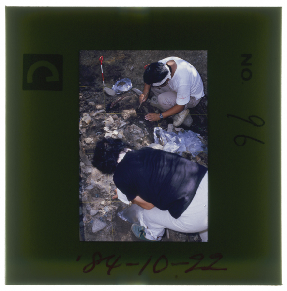 Tamatsukuriisekinohakkutsuchousahagenzaimotsuzukerareteirutamatsukuriyujinjakeidainomiyanouechikude