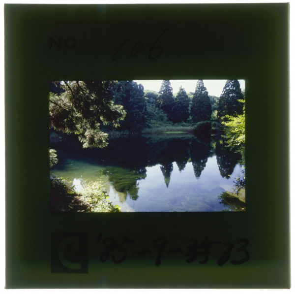 〔中〕滝ノ頭水源の池 用水開削後に堤を築いて貯水池とした