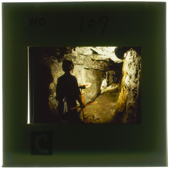 Furiganeshinosokuryousagyoutaiokinzannokirokuninokorurekishihameijichuukiikoudagakounainihaedojidainosaikousagyoufuukeinadomotenjisareteiru