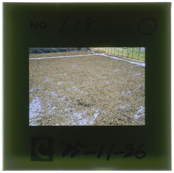 刈取った葉は細かく刻み 葉と茎を扇風機で選別してよく乾燥させる 刈取り直後のこの処理が■の品質に大きく響く(■はくさかんむり...