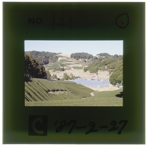 〔右〕現在の同地点の風景