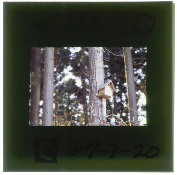 Migiyachouwoyobiyosetechuugaiwofusegutametaishou11nendokarasubakomotoritsukerareta