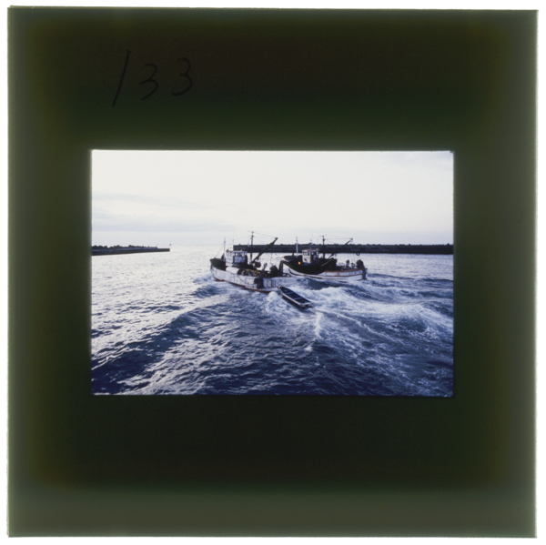 イワシを求めて 早暁出港してゆくまき網(あぐり網)漁船 沖で魚群を発見すれば連結した網を下ろして取り囲む 九十九里町片貝漁港で