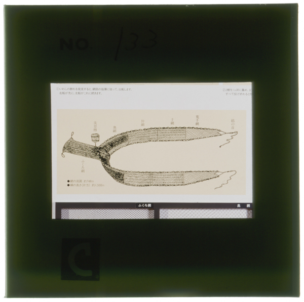 Hidarihadaijibikiaminoamibunenomokeihidarigawagamaamimigigasakamikakufuneniyaku30ninganorikumishikishanookiaihamaamininorugyogunnichikazukutoryoufunehashashinnoyounimoyaiamiworenketsushitekarasayuuniwakaretounyuusuruamihajouzunoyounakouseidefukuroamihasaigonisakanawooikomutokorozenbunoamiwotoukashitaamibunehashitazunoyounihikiamiwoaminohashinimusundekishihemukauhamadematteitaokamonogahikiamiwouketoriamiwohikiyoserukujuukuriiwashihakubutsukannotenjikara