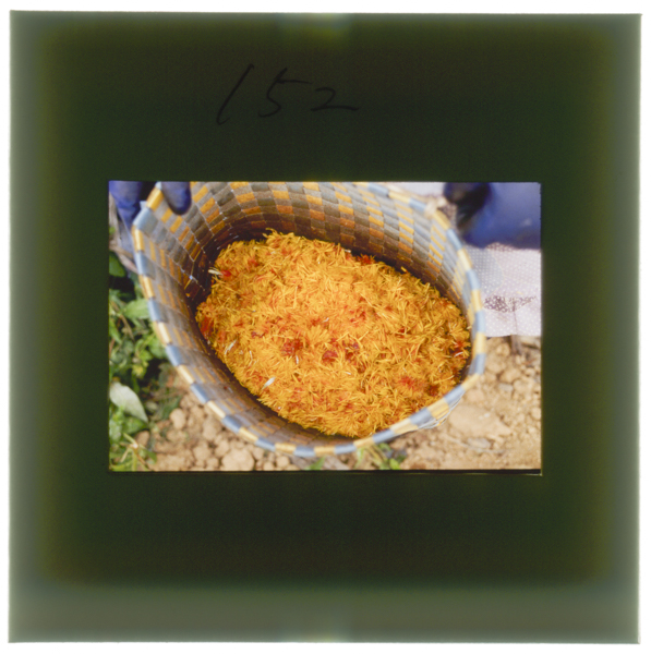 Kagonitsumitoraretabenibananokabensonohinouchinikakoushoriwoshinaitoryoushitsunobenishikisogaerarenai