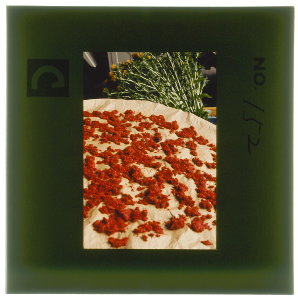 Suritsubusaretakabenhahakkouniyotteshinkunihasshokusuruyokukansoushitekarashukkasurukonosuribanahahanamochitoonajiyounisenryoutoshitetsukawareru