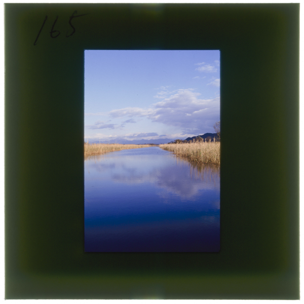 Hachimanchounomawarinihaikutsumononaikogaarisuigoufuukeiwomiseteitagakantakunotamenokottanohanishinokodakeninattakaretayoshiha1gatsukara3gatsunikaketekaritorareru