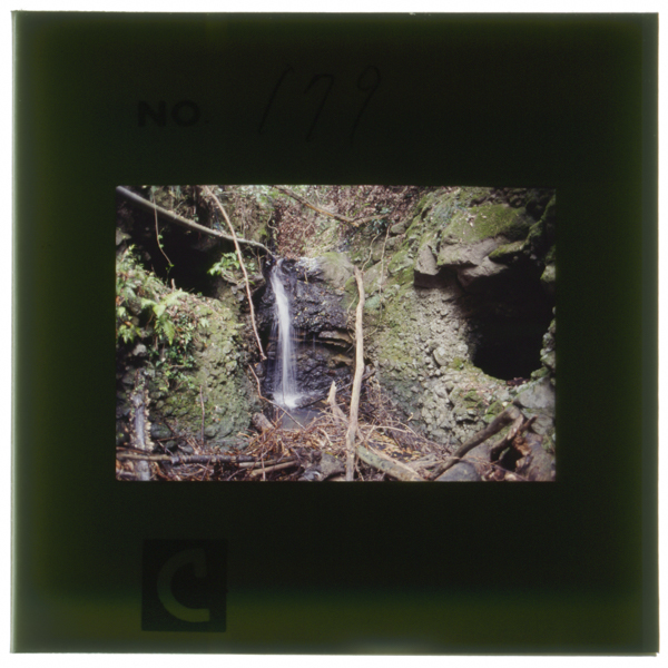 Usashihaitashindounichikaitaninookuyousuigataniwooudansurutametakinouranoganbanwohorinuitesayuunitootteirugenzaihashiyoushiteinaitakinoryougawanimierunohakoujiyounoyokoana