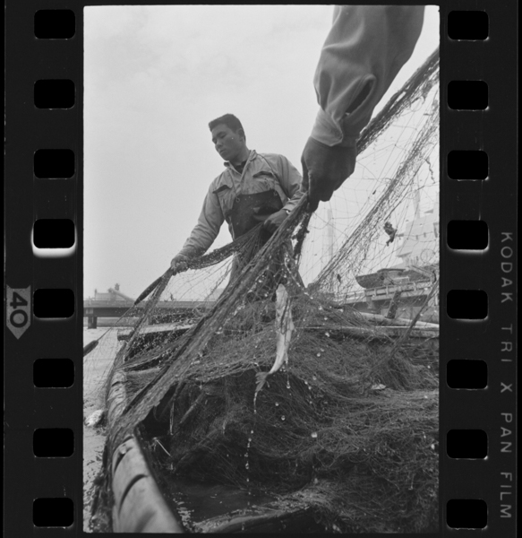 Mizushimakounai1972nen